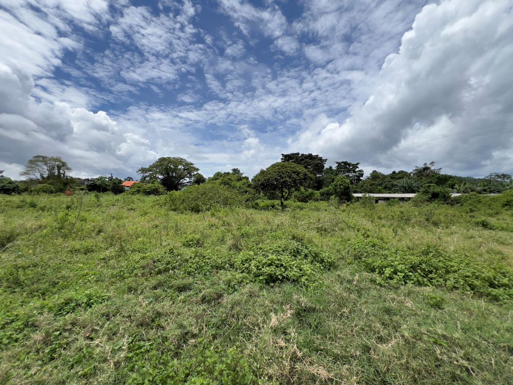 11 ACRES FOR SALE IN GARUGA ENTEBBE ROAD