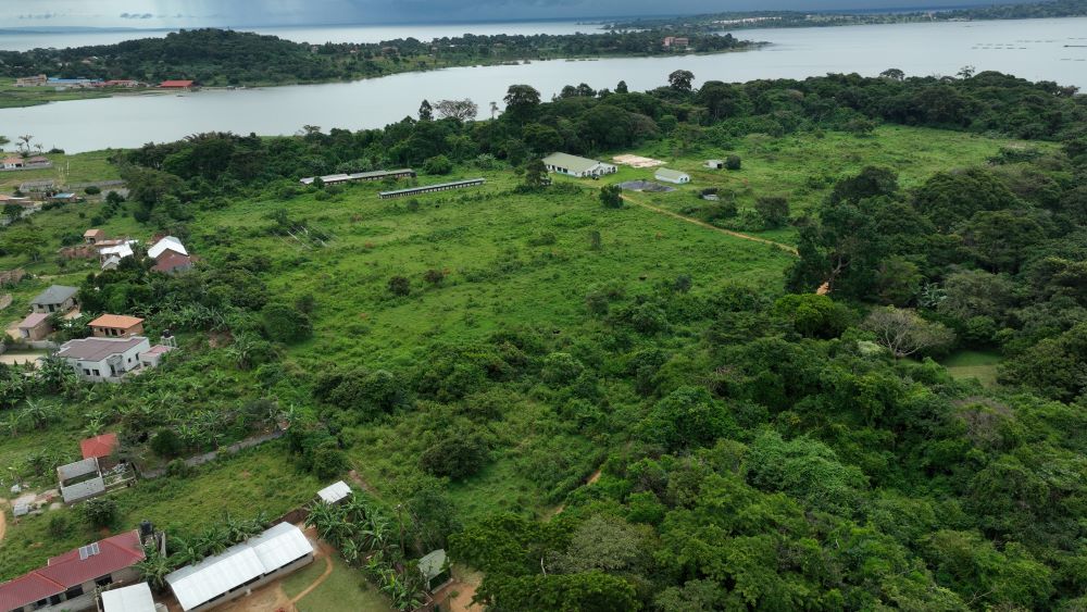 11 ACRES LAND FOR SALE IN GARUGA ENTEBBE ROAD