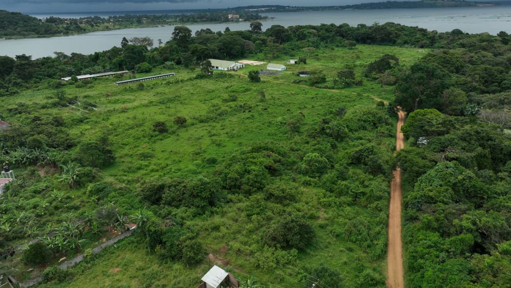 11 ACRES LAND FOR SALE IN GARUGA ENTEBBE ROAD
