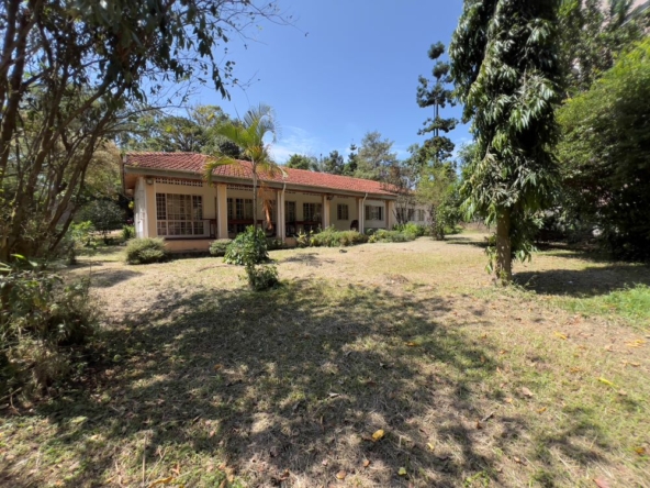 1.2 ACRES LAND FOR SALE IN BUGOLOBI KAMPALA