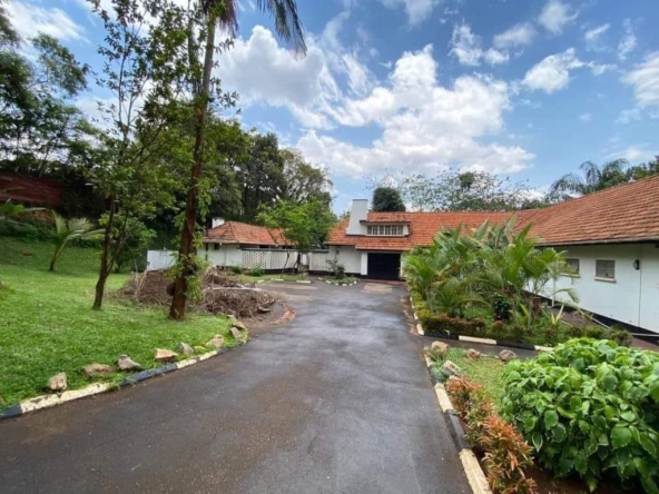 This land in Kololo for sale