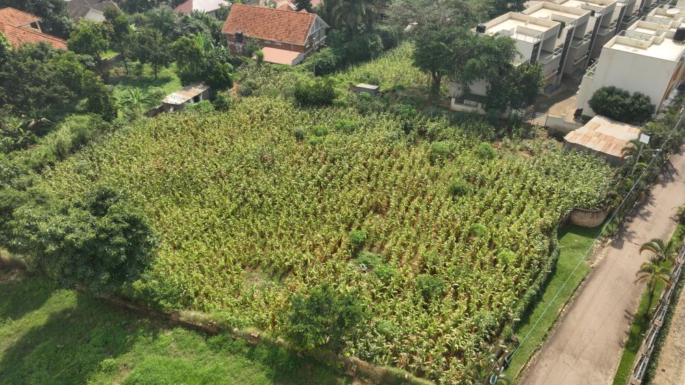 This One Acre Land For sale in Munyonyo Kampala
