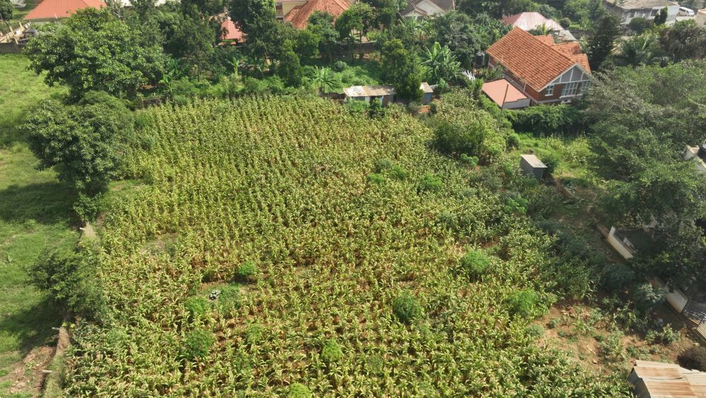 This One Acre Land For sale in Munyonyo Kampala